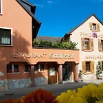 Pfalzhotel 4*