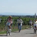 Pfalzhotel