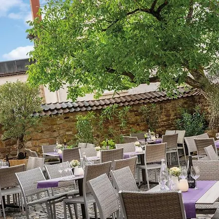 Pfalzhotel 4* Asselheim