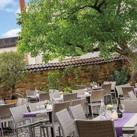 Pfalzhotel 4* Asselheim