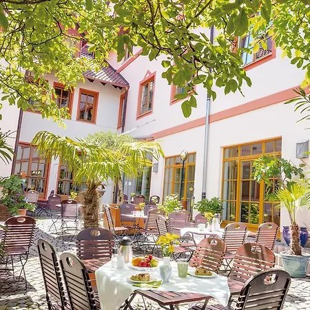 Pfalzhotel מלון