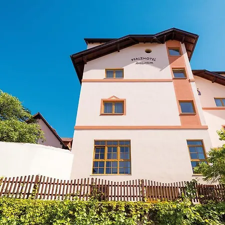 מלון Pfalzhotel 4*