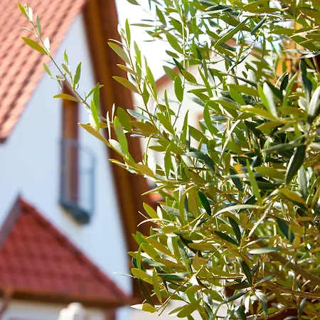 Hotell Pfalzhotel Asselheim