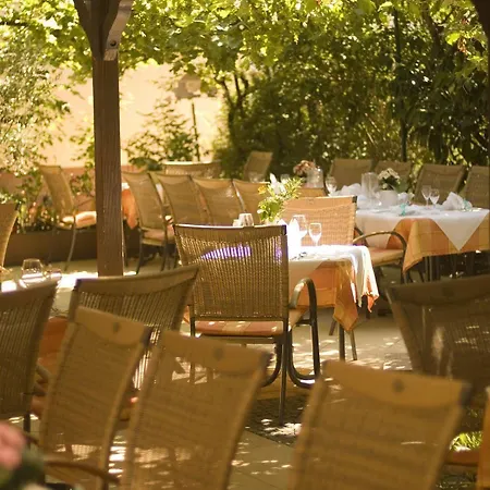 Pfalzhotel 4*