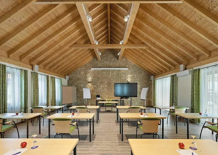 阿塞汉姆普法索酒店 4* 阿塞尔海姆