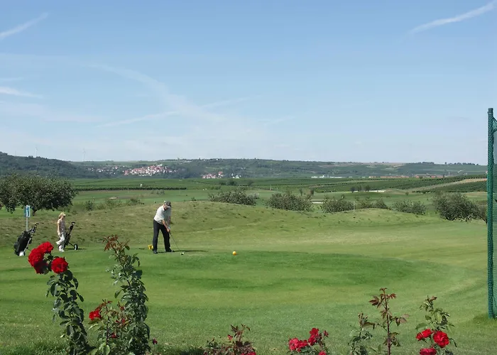 酒店 阿塞汉姆普法索酒店 阿塞尔海姆
