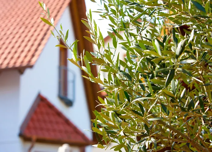 Hotell Pfalzhotel Asselheim