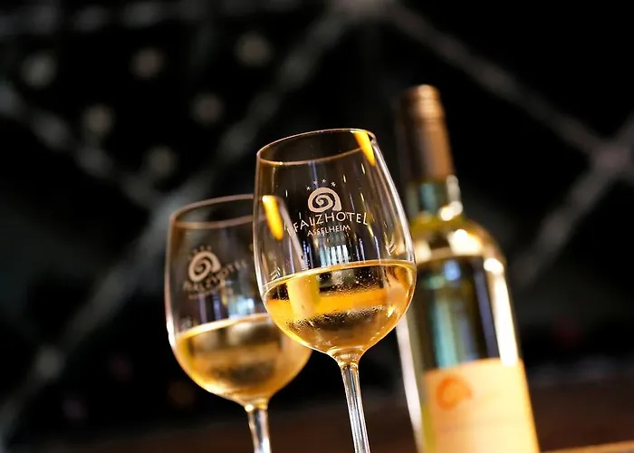 Hotell Pfalzhotel 4*